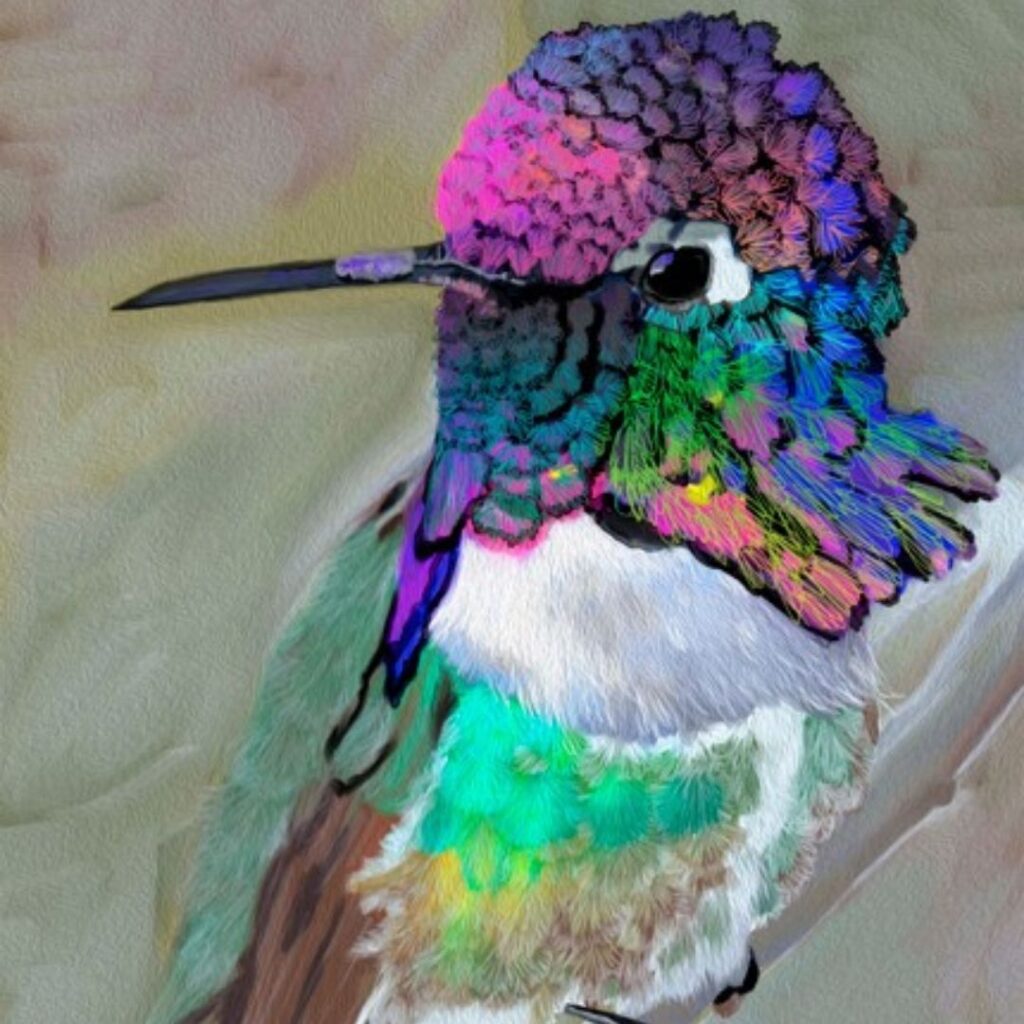 colibrí a mano alzada en photoshop arte digital